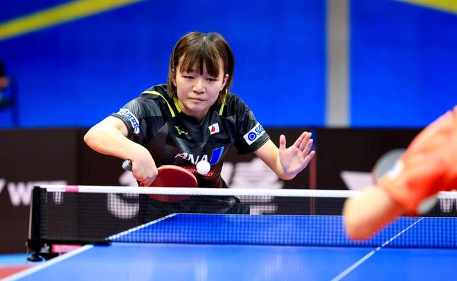 仅吸引了众 仅吸引了众