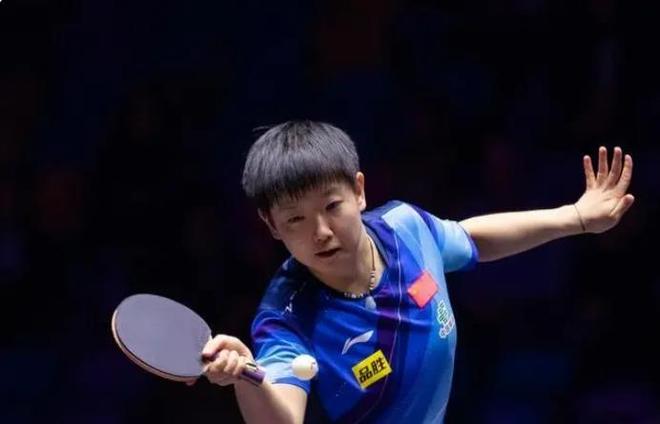 这也证明了 这也证明了